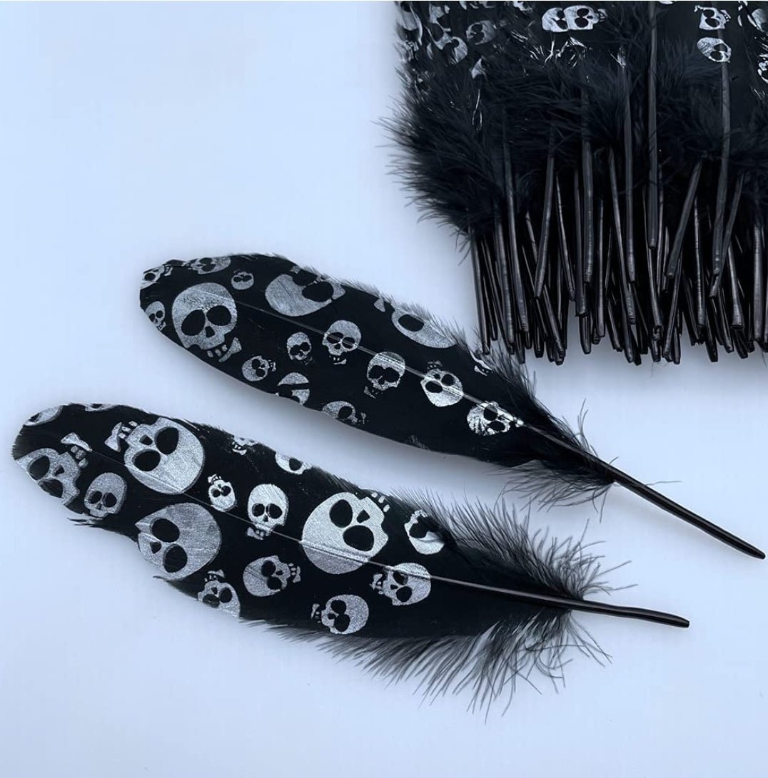 2pc Smudging Feathers - Soulful Spirits