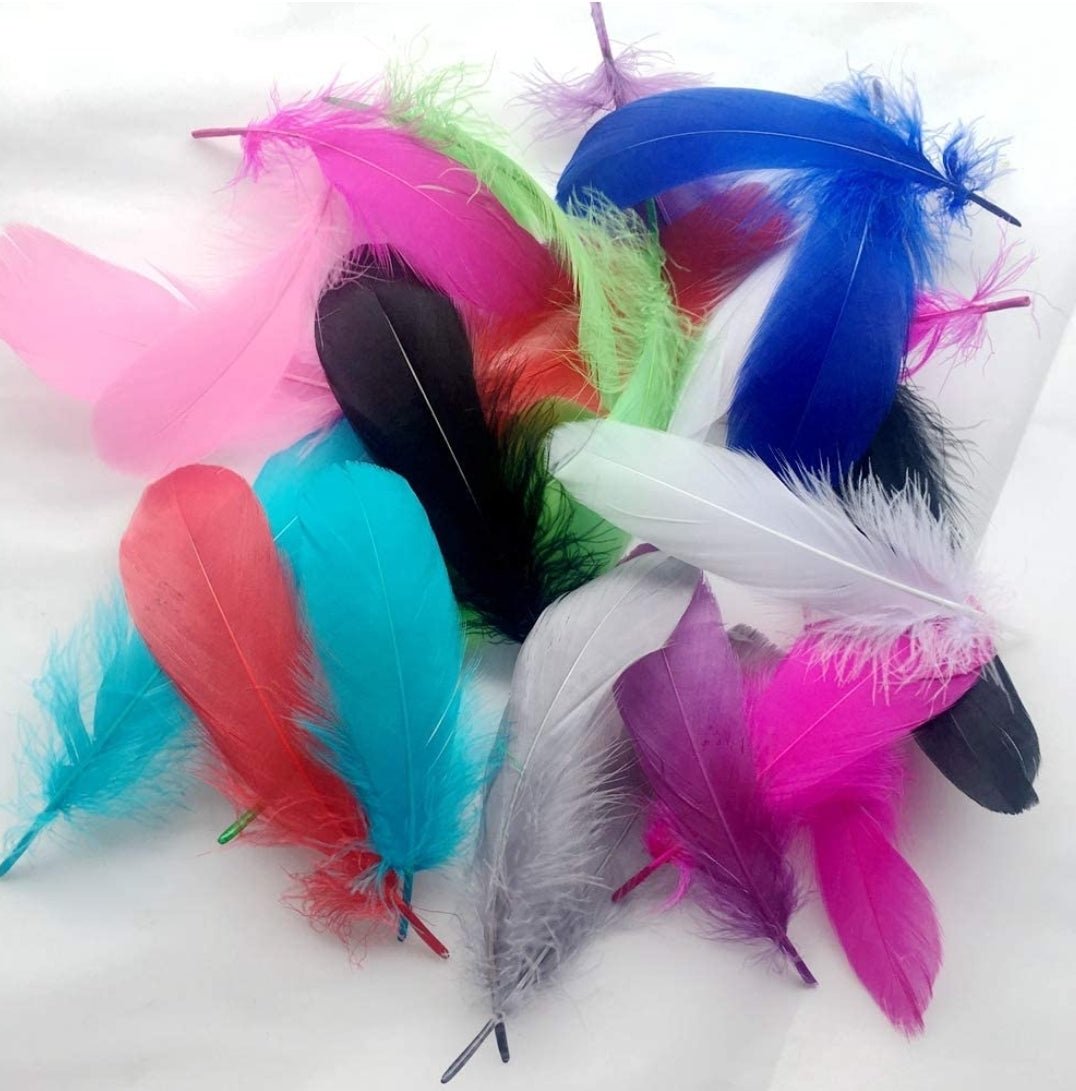 2pc Smudging Feathers - Soulful Spirits